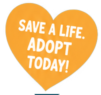 save-a-life-heart-icon