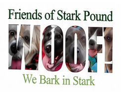 stark-pount-img